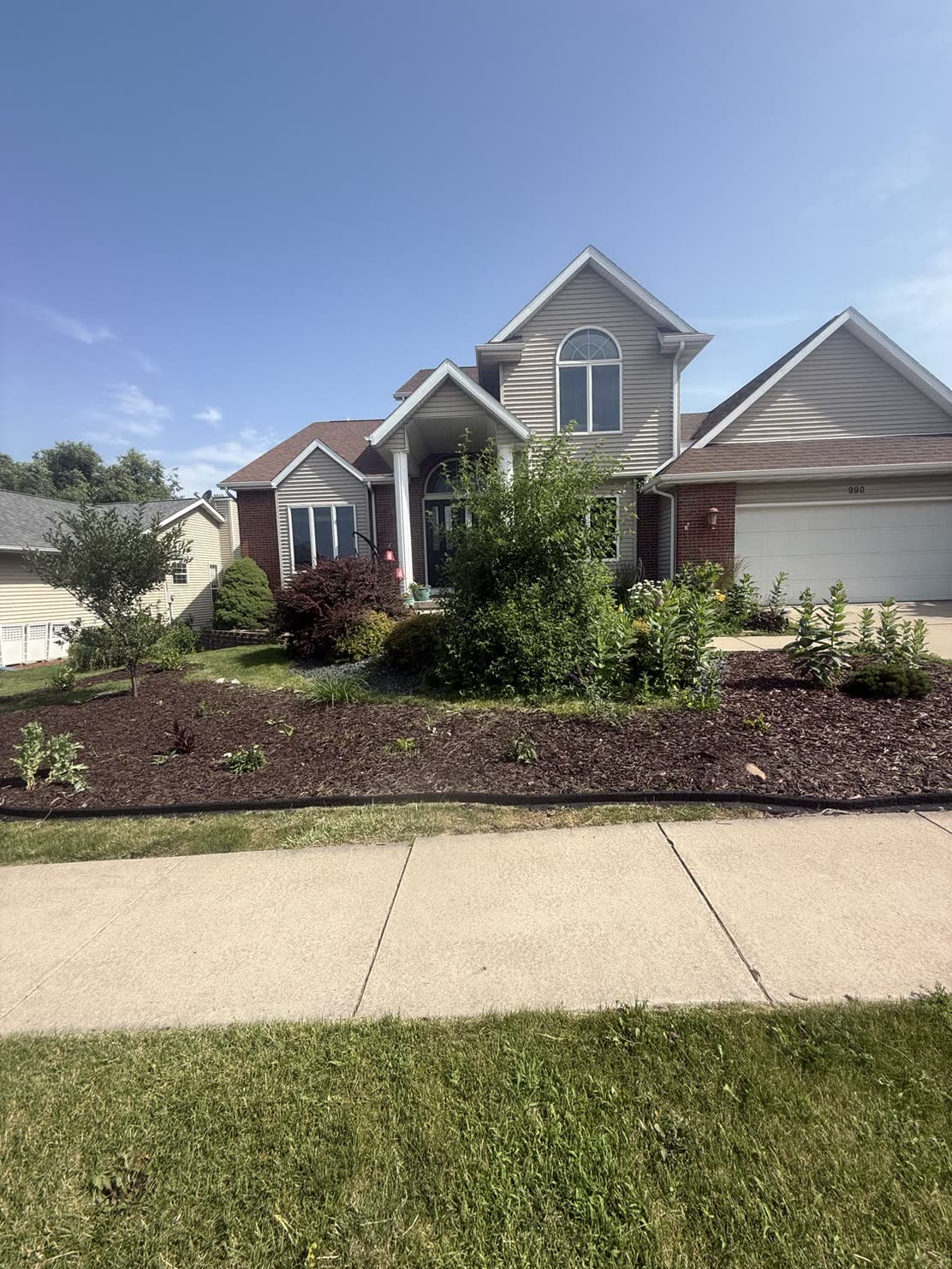 A residential front bed crowded with overgrown shrubs